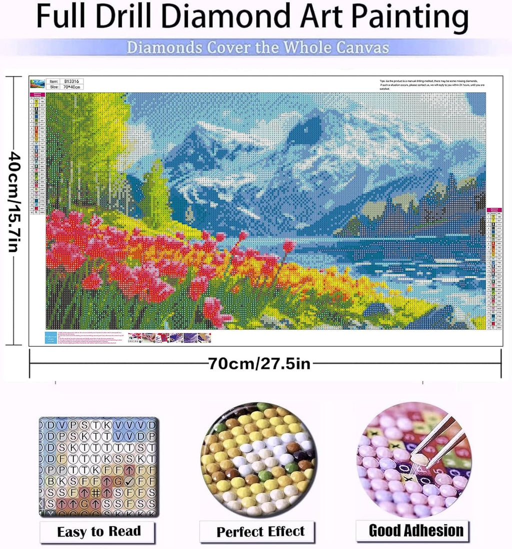 5D Diamond Art Kits for Adults Large Size Diamond Painting Kit 27.6X15.8In